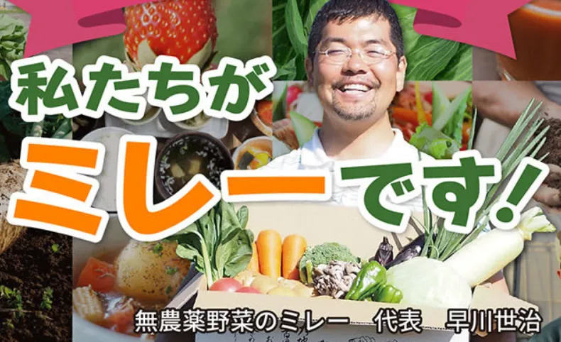 ミレー野菜セットのレビュー:季節の恵みを味わう