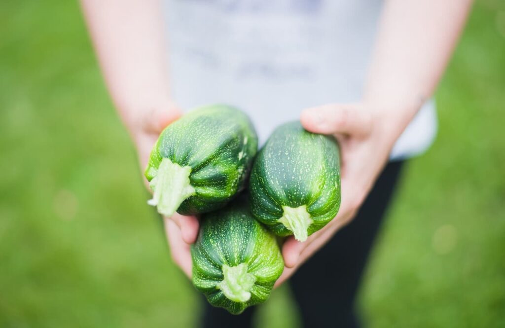 無農薬野菜を宅配してくれる安いサービスの選び方